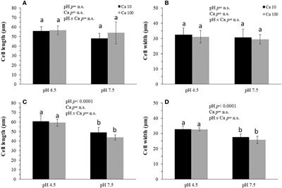 Combined effects of alkaline pH and high Ca concentration on root morphology, cell-wall polysaccharide concentrations and blueberry plant performance